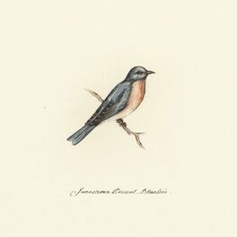 Album cover of Bluebird