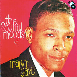 Album cover of The Soulful Moods Of Marvin Gaye