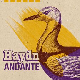 Album cover of Haydn Andante