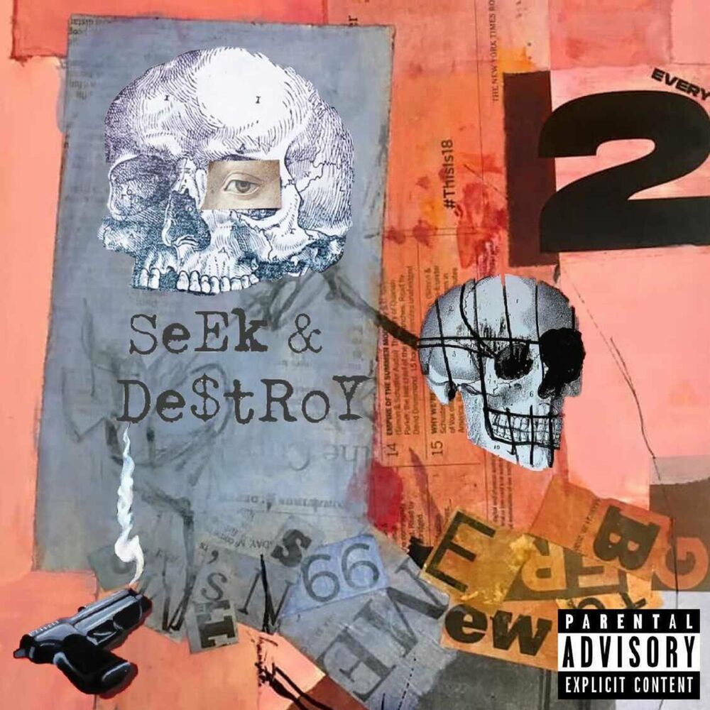 Seek destroy