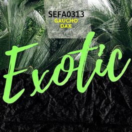 Album cover of Exotic (feat. Gaucho & Dax)