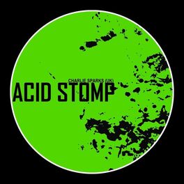 Album cover of Acid Stomp