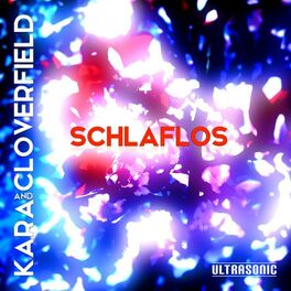 Album cover of Schlaflos
