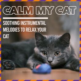 Album cover of Calm My Cat - Soothing Instrumental Melodies to Relax Your Cat