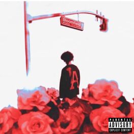 Album cover of Bloomfield