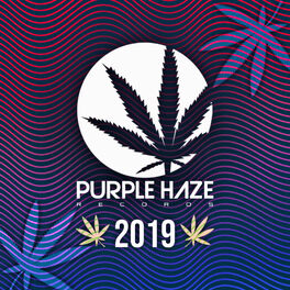 Album cover of Purple Haze 2019