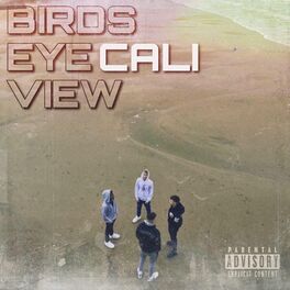 Album cover of Birds Eye View