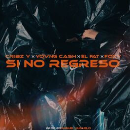 Album cover of Si no regreso