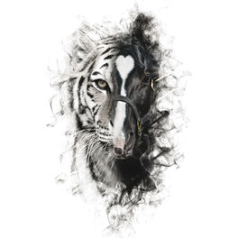 Album cover of Para Sacarte De Mi Vida