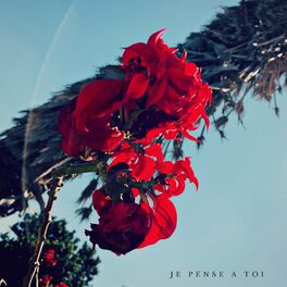 Album cover of Je pense a toi