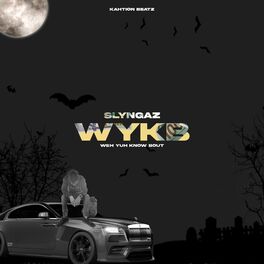 Album cover of WYKB