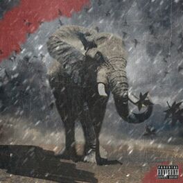 Album cover of Марш слонов