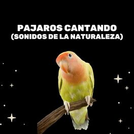 Album cover of Pajaros Cantando (Sonidos De La Naturaleza)