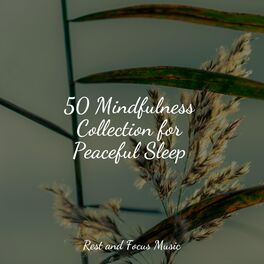 Album cover of 50 Mindfulness Collection for Peaceful Sleep
