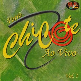 Album cover of Forró Chicote, Vol. 1 (Ao Vivo)