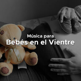 Album cover of Musica para Bebes en el Vientre