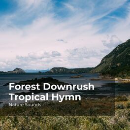 Album cover of Forest Downrush Tropical Hymn