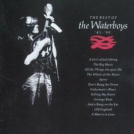 Album cover of The Best of The Waterboys (1981-1990)