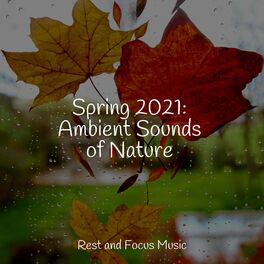 Album cover of Spring 2021: Ambient Sounds of Nature