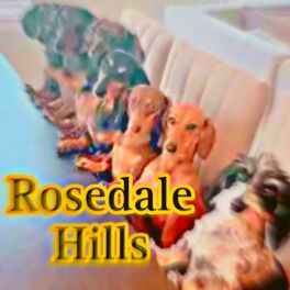 Album cover of Rosedale Hills
