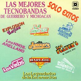 Album cover of Las Mejores Tecnobandas de Guerrero y Michacán