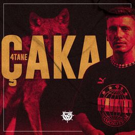 Album cover of 4 Tane Çakal