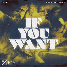Album cover of If You Want