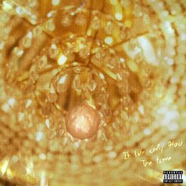 Album cover of If We Only Had The Time