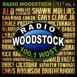 Album cover of Radio Woodstock Live Vol! 4