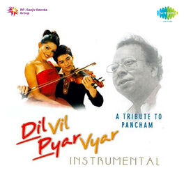 Album cover of Dil Vil Pyar Vyar Music Track
