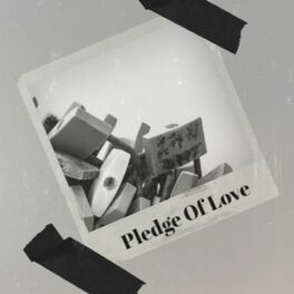 Album cover of Pledge Of Love