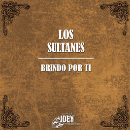 Album cover of Brindo por Ti