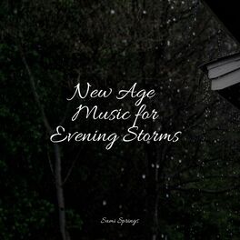 Album cover of New Age Music for Evening Storms