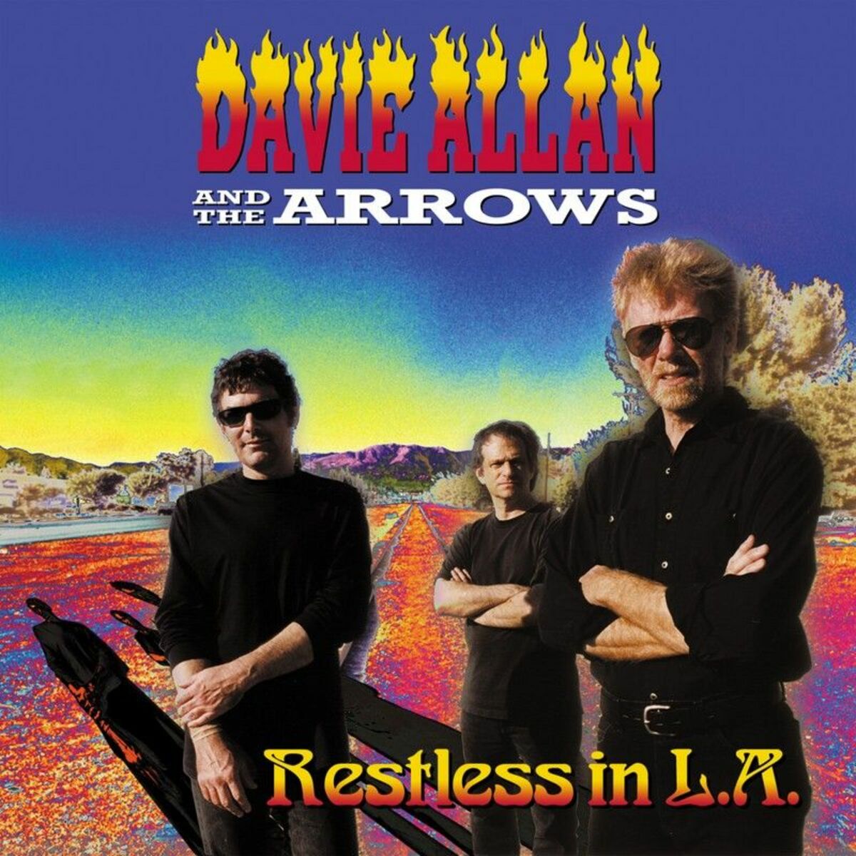 Davie Allan u0026 The Arrows: albums