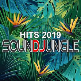 Album cover of Soundjungle Hits 2019