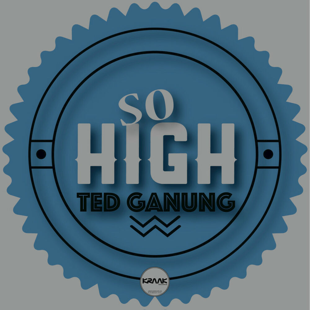 We so high. So High. Ted Ganung & GGOODEI - Memories of Happiness.