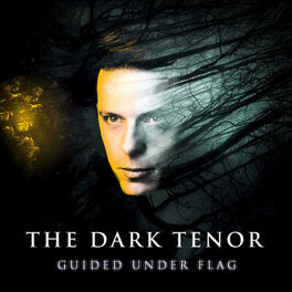 Album cover of Guided Under Flag