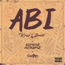 Album cover of Abi