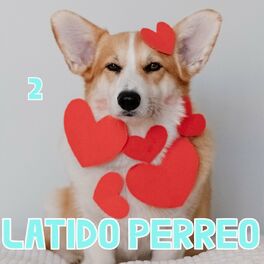 Album cover of Latido Perreo Vol. 2