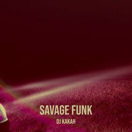Album cover of Savage Funk