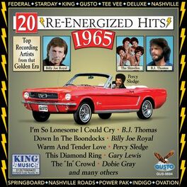 Album cover of 20 Re-Energized Hits: 1965