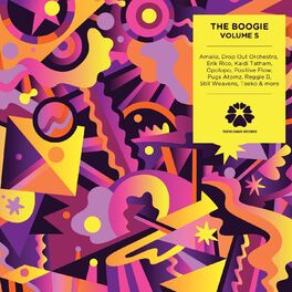 Album cover of The Boogie, Vol. 5