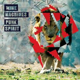 Album cover of Punk Spirit