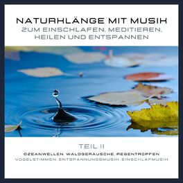 Album cover of Naturklänge mit Musik zum Einschlafen, Meditieren, Heilen und Entspannen - Teil 2 (Ozeanwellen, Waldgeräusche, Regentropfen, Vogelstimmen, Entspannungsmusik, Einschlafmusik)
