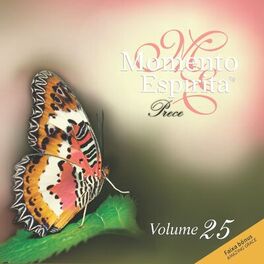 Album cover of Momento Espírita, Vol. 25
