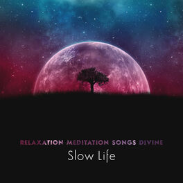 Album cover of Relaxation Meditation Songs Divine: Slow Life - Soothing Nature Sounds for Calming, Buddha Healing Bar, Relaxing Music Oasis