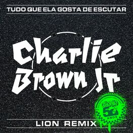 Album cover of Tudo Que Ela Gosta De Escutar (Lion Remix)