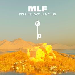 Album cover of Fell in love in a Club