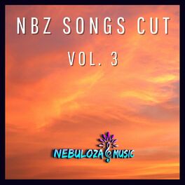 Album cover of Nbz Songs Cut Vol. 3