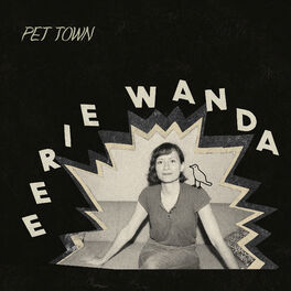 Album cover of Pet Town